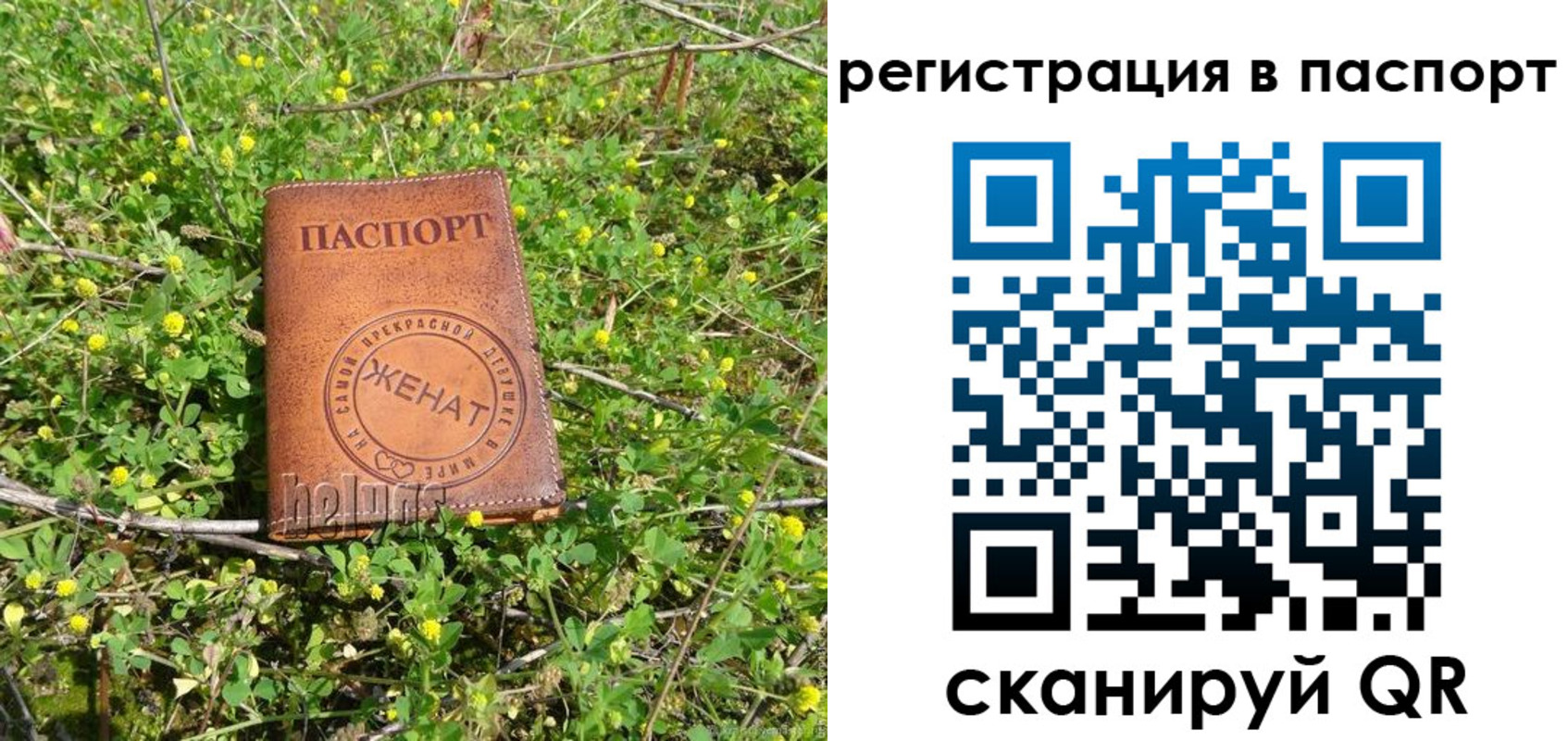 прописка законно в Шатуре